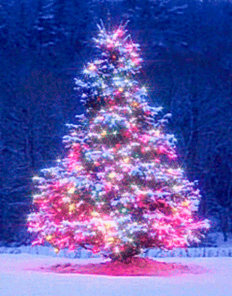 gif-christmas-tree-25