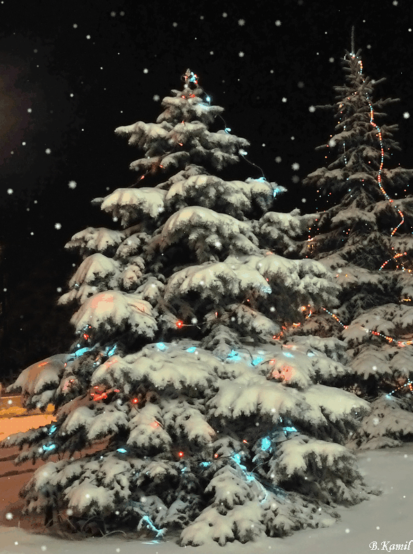 Christmas Tree GIFs 120 Animated Pics For Christmas Mood Christmas Tree GIFs 120 Animated Pics For Christmas Mood