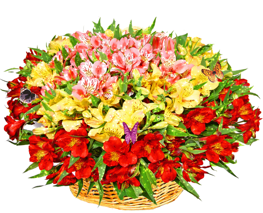GIFs de Fleurs - De beaux bouquets, des bourgeons en fleurs