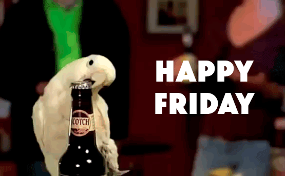 Happy Friday GIFs - 70 Moving Pictures With Captions