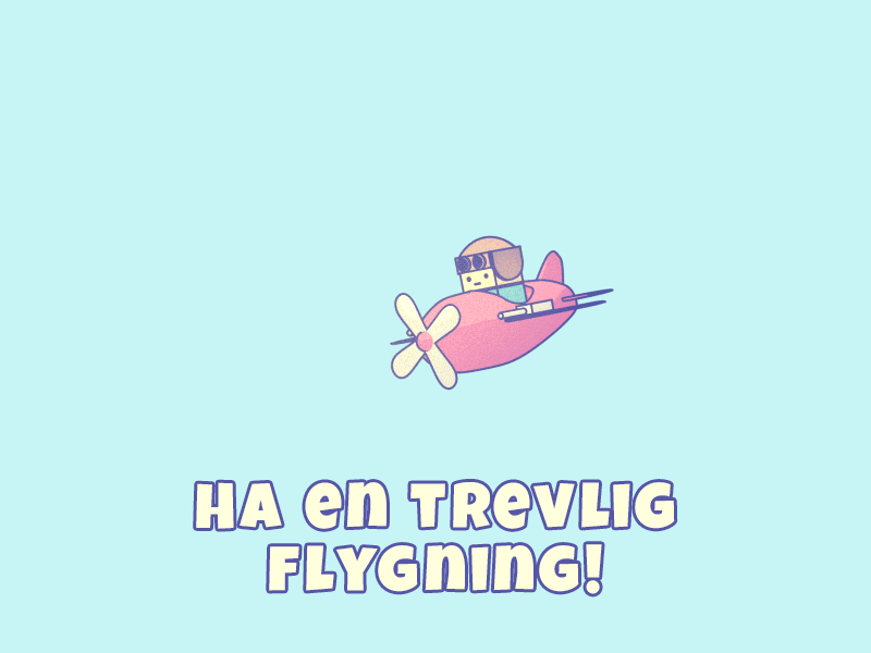 Ha en trevlig flygning-11