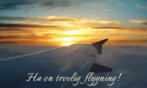 Ha en trevlig flygning-16