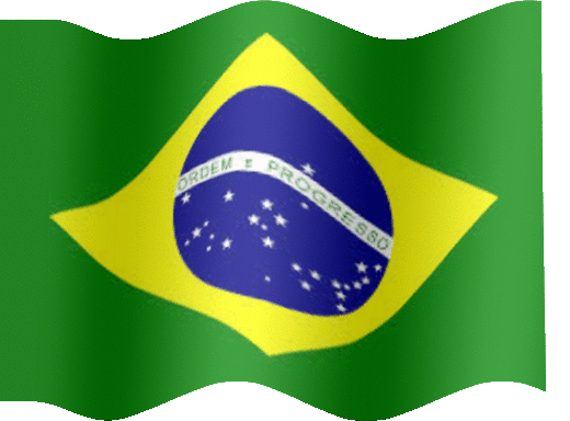 brazilian-flag-14