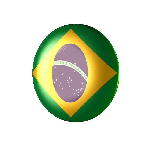 brazilian-flag-15