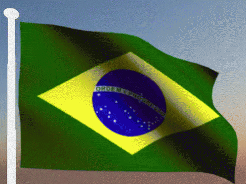 brazilian-flag-19