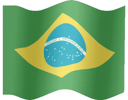 brazilian-flag-28