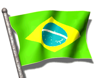 brazilian-flag-32