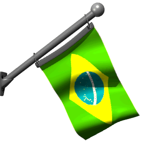 brazilian-flag-34