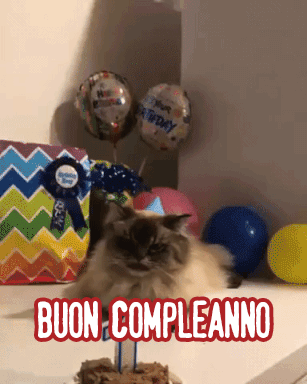 Le GIF di Buon compleanno gatto - 40 biglietti di auguri animati