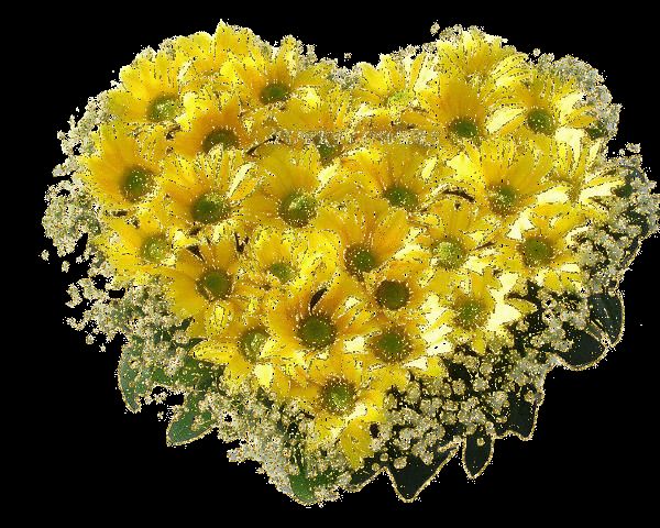 GIFs von schönen Chrysanthemen - 40 animierte GIFs