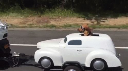 Funny Car GIFs 80 Animated Pics Of Fun On The Road