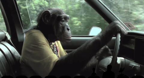 funny-car-53.gif 