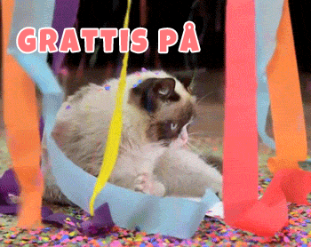grattis-pa-fodelsedagen-katt-11