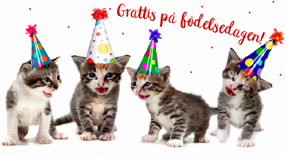 grattis-pa-fodelsedagen-katt-27