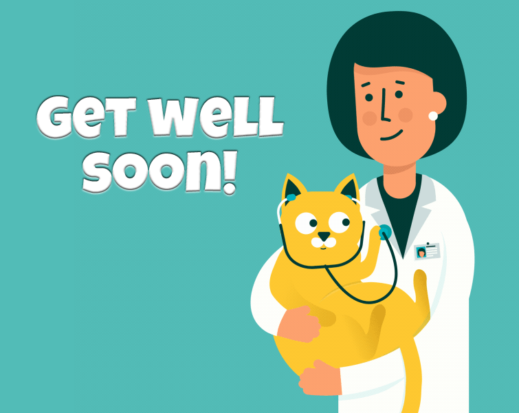 Get Well Soon GIFs - 30 Animated Pics and Cards for Free