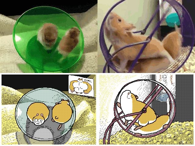 GIFs de rueda de hámster - 70 roedores animados corren en una rueda