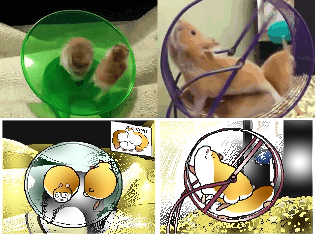 Hamsterrad GIFs - 70 animierte Nagetiere laufen in einem Rad