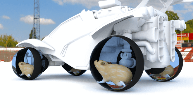 Le GIF della ruota del criceto - 70 roditori animati corrono su una ruota