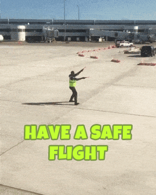 Have a Nice Flight GIFs