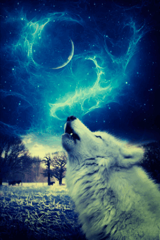 howling-wolf-28