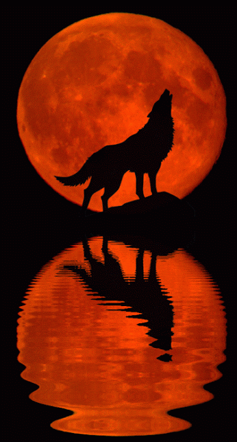 howling-wolf-30
