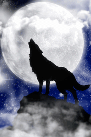 howling-wolf-44