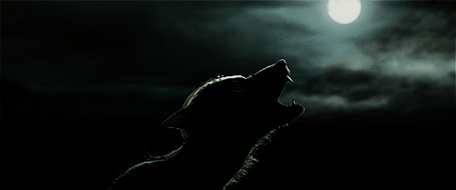 howling-wolf-47