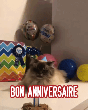 Joyeux anniversaire chat GIFs