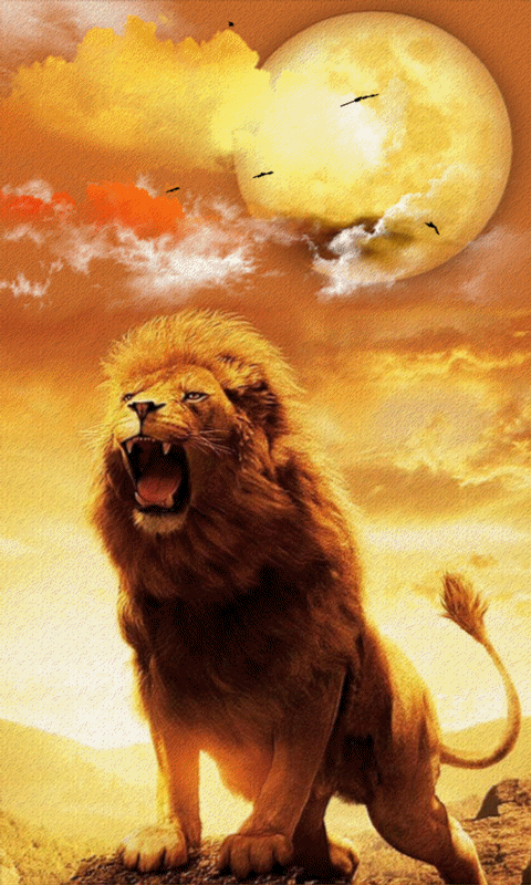 lion-roar-20