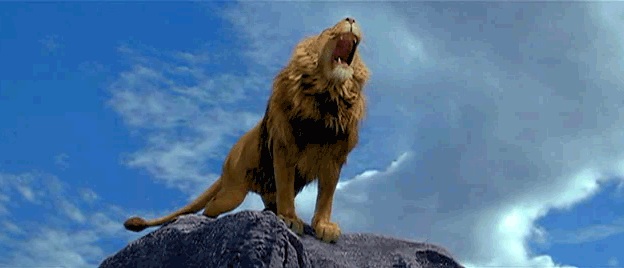 lion-roar-41