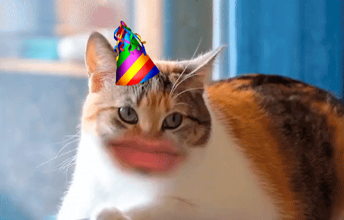 GIFy Wszystkiego najlepszego z okazji urodzin kota