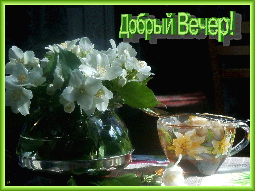 gifka-dobriy-vecher-18
