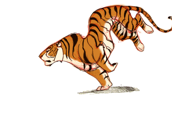 gifs-tiger (102)