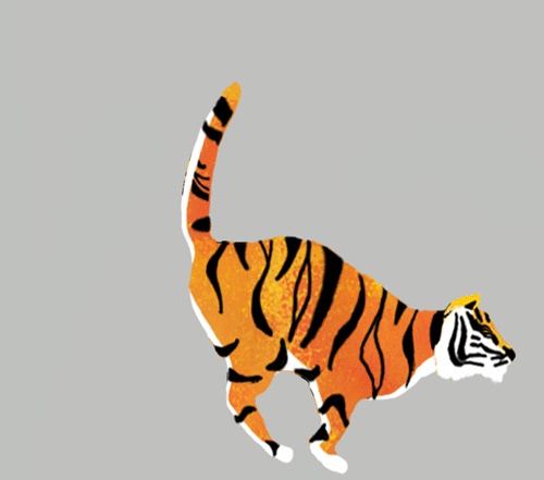 Tigers GIFs