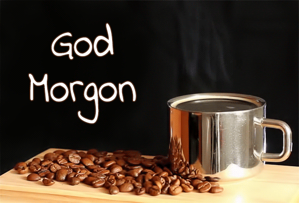 1119-god morgon-16