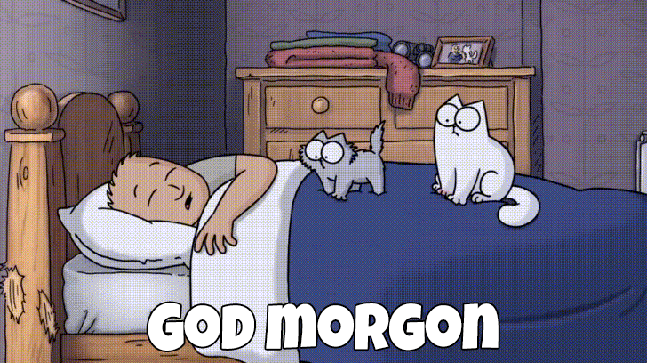 1119-god morgon-17
