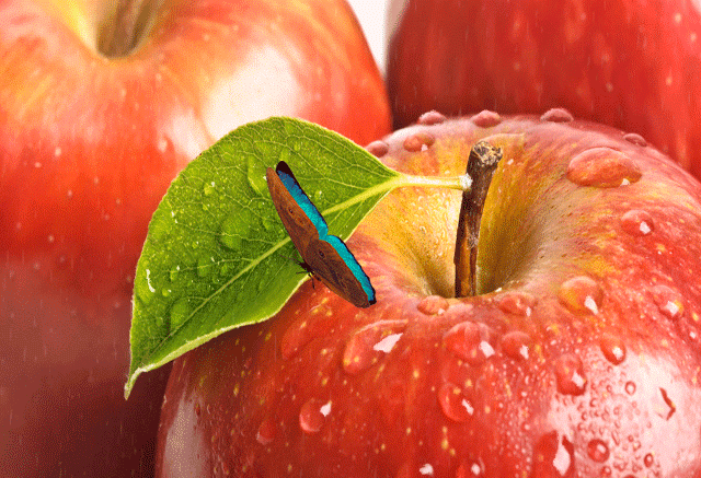 GIF de manzanas - 100 imágenes animadas de estas maravillosas frutas