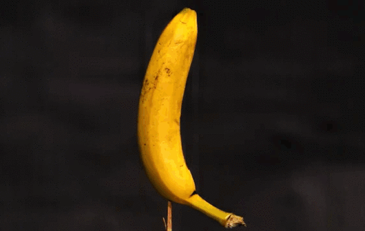 GIFs de Bananas - 100 melhores imagens animadas de banana de graça