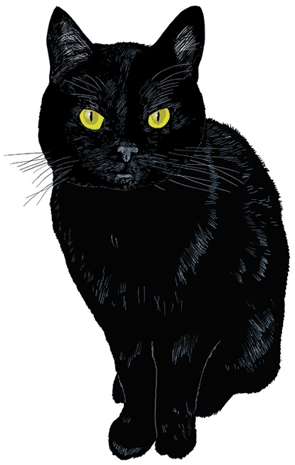 Le GIF di gatti neri - 130 immagini animate di gatti con pelliccia nera