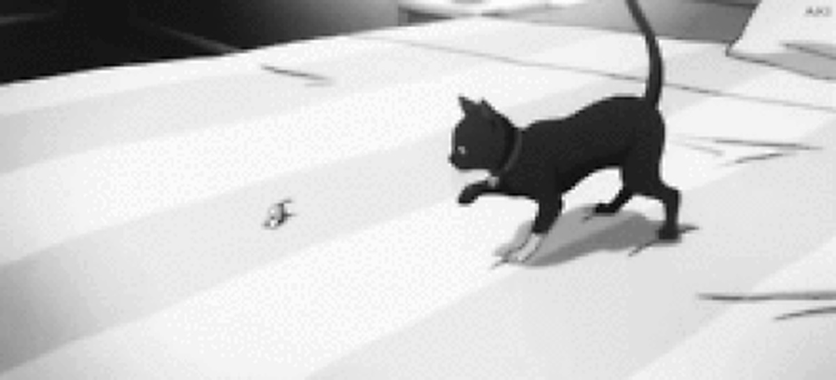 Чёрные кошки на гифках - 130 анимированных GIF-изображений