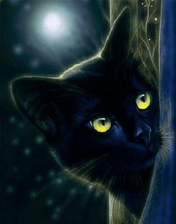 Le GIF di gatti neri - 130 immagini animate di gatti con pelliccia nera