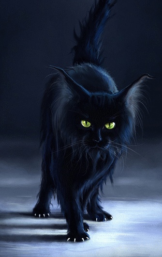 Gatos negros en GIFs - 130 imágenes animadas de gatos con pelaje negro