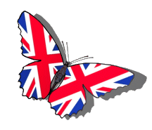 british-flag-30