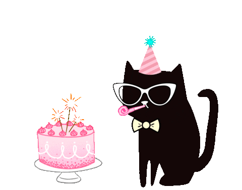 Cat's Birthday GIFs - 40 Animated Images For Free