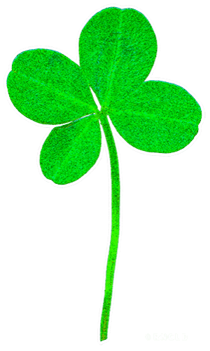 clover-leaf-25