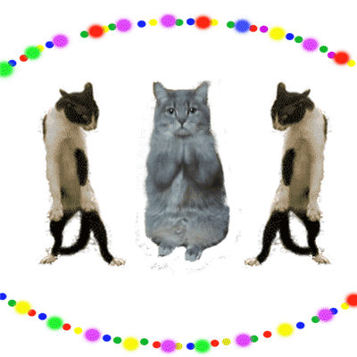 Dansande katter GIF - 65 roliga animerade bilder gratis