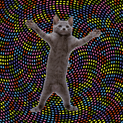 dancing-cat-41