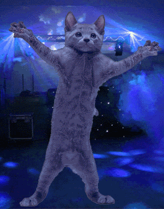 dancing-cat-43