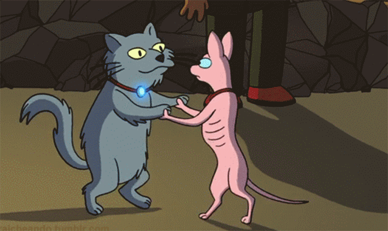 Le GIF con gatti danzanti - 65 divertenti immagini animate gratuite