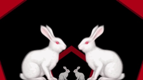 GIF animação de coelhos dançando
